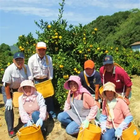 糖度11度以上!ゆら早生みかん「ゆらっ子」5kg(サイズ2S～M)【2026年10月中旬～順次発送】【1218292】