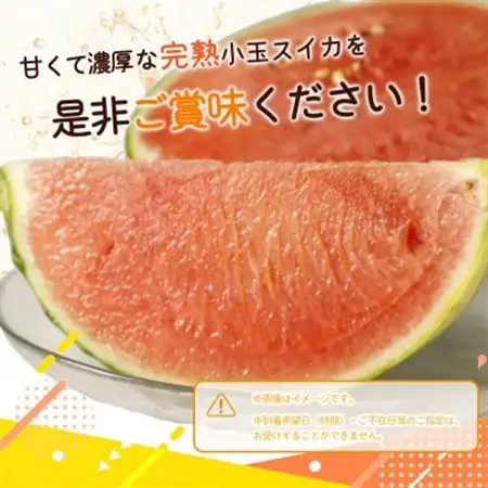 【2027年6月中旬より順次発送予定】紀州和歌山産小玉スイカ「ひとりじめ」1玉【1421263】