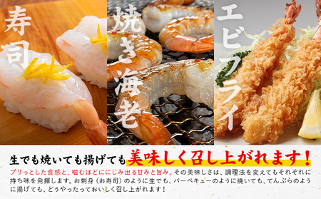 天草産 天然車海老 約400g 海老