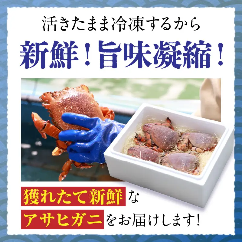 【先行予約】＜2026年11月より順次発送予定＞宮崎県串間市産 アサヒガニ500g 国産 海鮮 カニ_K027-014-01