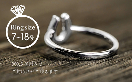 ダイヤ 指輪 pt900 ダイヤモンド リング 0.12ct 鑑別書 保証書 ケース 付 ジュエリー アクセサリー 宝石 プラチナ ギフト プレゼント 贈り物 記念日 お祝い 誕生日 人気 高級 山梨県 西桂町【n0477_liz_C】