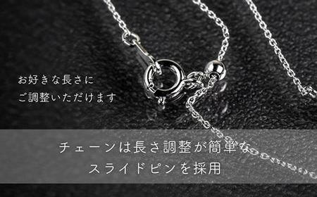 ダイヤ ダイヤモンド ネックレス 0.12ct ジュエリー アクセサリー ペンダント 宝石 プラチナ ギフト プレゼント 贈り物 記念日 お祝い 誕生日 人気 高級 山梨県 西桂町【n0478_liz_C】