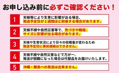 No.2770 ふくしまのサンふじりんご　約1kg 【2026年度発送】