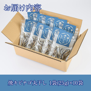 焼キビナゴ丸干し10袋セット(25g×10袋)海産物 きびなご おつまみ おかず【下園薩男商店】akn086-08
