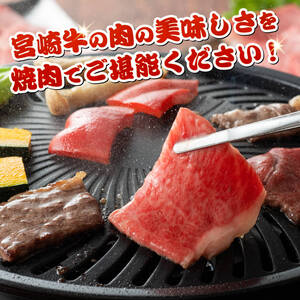 【令和8年10月発送】宮崎牛霜降り焼肉 700g (350g×2)【肉 牛肉 国産 宮崎県産 宮崎牛 黒毛和牛 和牛 焼肉 BBQ 4等級  A4ランク 肩ロース E11122】