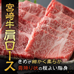 【令和8年10月発送】宮崎牛赤身霜降り焼肉2種 800g【肉 牛肉 国産 宮崎県産 宮崎牛 黒毛和牛 和牛 焼肉 BBQ 4等級  A4ランク 肩ロース ウデ モモ E11124】