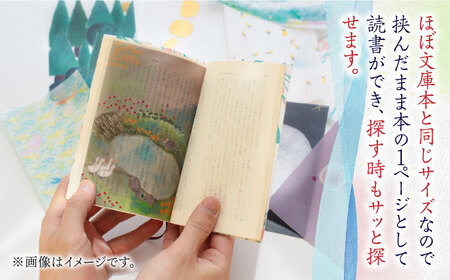 本 【全4回定期便】 各シーズンにお届け！ 5枚 [ABAJ010] 本