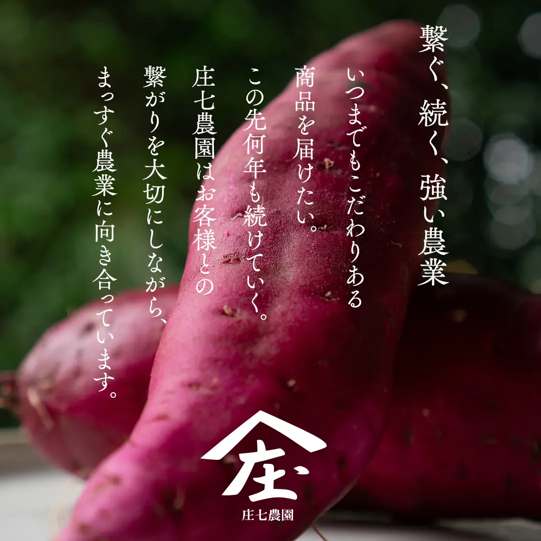 【 訳あり 】 さつまいも ！ 紅はるか 10kg サツマイモ 芋 いも べにはるか