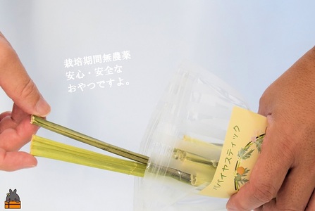 ～徳之島産乾燥青パパイヤの茎～うさぎのおやつ（2袋）( ペットフード うさぎ ウサギ パパイヤ おやつ ペット 徳之島 鹿児島 安心 安全 乾燥 世界自然遺産 アマミノクロウサギ レターパックライト ポスト投函 受取り簡単 )