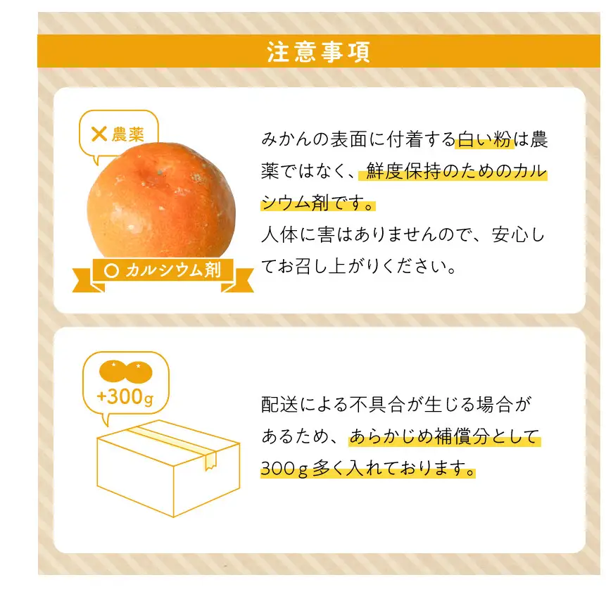 【秀品】【2026先行予約】有田みかん 和歌山県有田産 2kg (2S～Lサイズ混合) 【まごころ手選別】_ZE6415