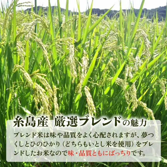  いとし米 厳選ブレンド 5kg (糸島産) 糸島市 / 三島商店 [AIM020] 米 白米