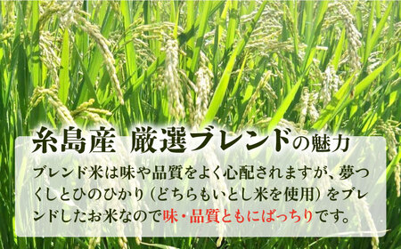 【全12回定期便】いとし米 厳選ブレンド 5kg×12回(糸島産) 糸島市 / 三島商店 [AIM037] 米 白米