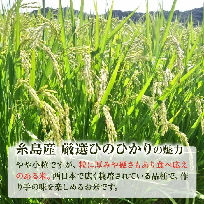  いとし米 厳選ひのひかり10kg (糸島産) 糸島市 / 三島商店 [AIM045] 米 白米