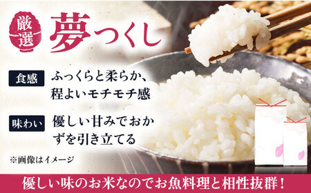 【全6回定期便】糸島産 いとし米 厳選夢つくし 10kg 糸島市 / 三島商店 [AIM048] 米 白米