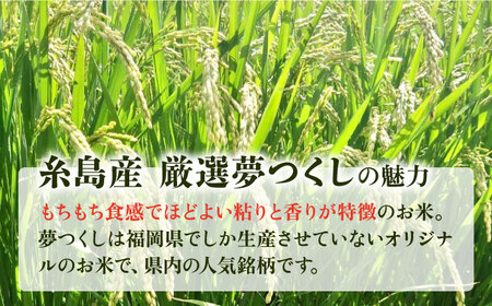 【全12回定期便】いとし米 厳選夢つくし 10kg×12回 (糸島産) 糸島市 / 三島商店 [AIM049] 米 白米