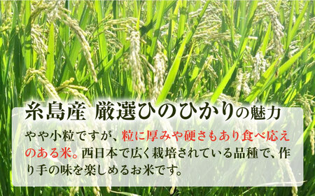 【全12回定期便】いとし米 厳選ひのひかり 10kg×12回(糸島産) 糸島市 / 三島商店 [AIM052] 米 白米