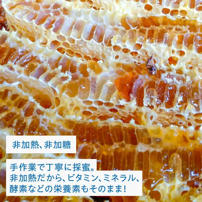 【希少】にほんみつばちの 生 ハチミツ 110g×1本 糸島市 / kibitoa [AIN004]