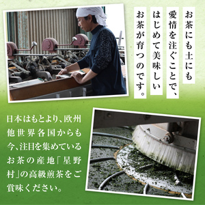 お茶 煎茶 深蒸し 高級煎茶 100g 2袋 お茶