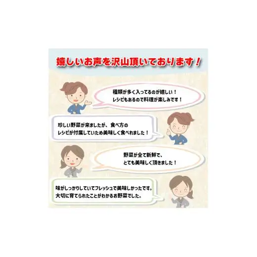 【早期予約】 野菜定期便10ヶ月