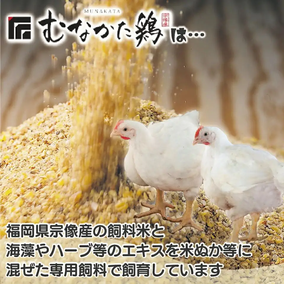宗像産ブランド鶏【むなかた鶏】食べ比べセット（モモ肉、ムネ肉、手羽先各2kg）（平飼い）【JAほたるの里】_HA1424