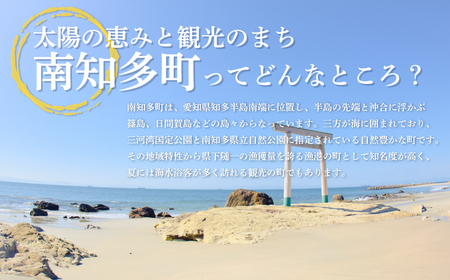 南知多町・美浜町共通返礼品 魚太郎名物 とろさば 入 自家製 ひもの 5種 おまかせセット 魚魚魚
