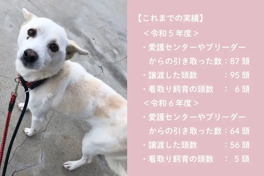 犬猫保護活動への支援 10万円