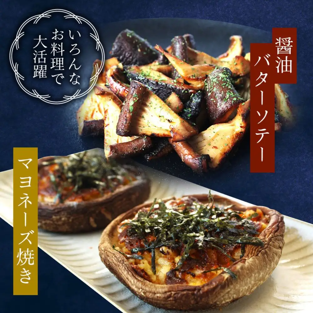 しいたけ 龍神マッシュの生しいたけ10袋セット 【mas003】