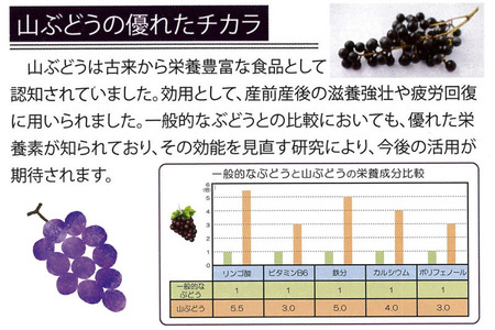 深山の山ぶどうジュース（500ml×2本）白鷹町産 ヤマブドウ 無添加100%原液