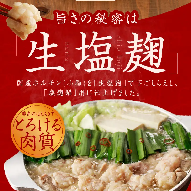 牛もつ鍋セット 9人前