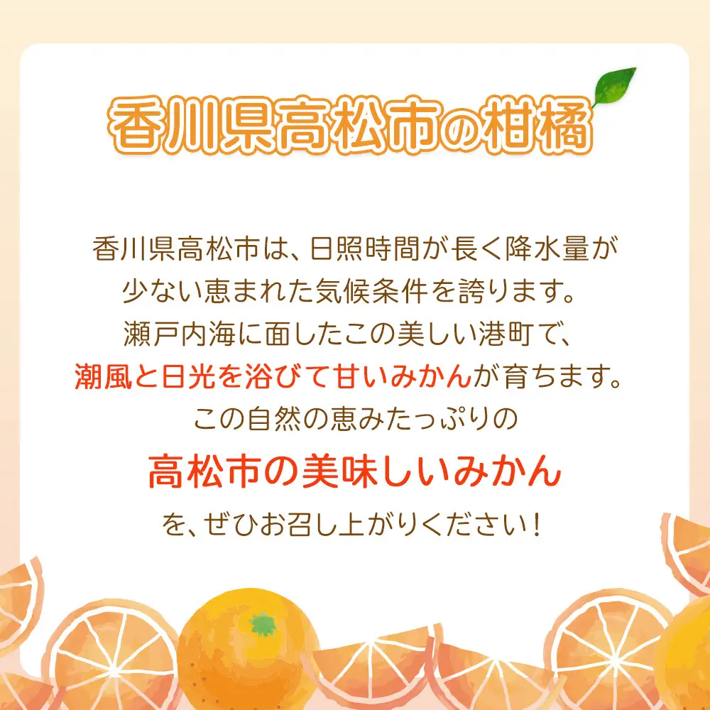 【先行予約】瀬戸内温州みかん　M～3Sサイズ　約2.5kg【2026年10月上旬～2027年1月下旬配送予定】