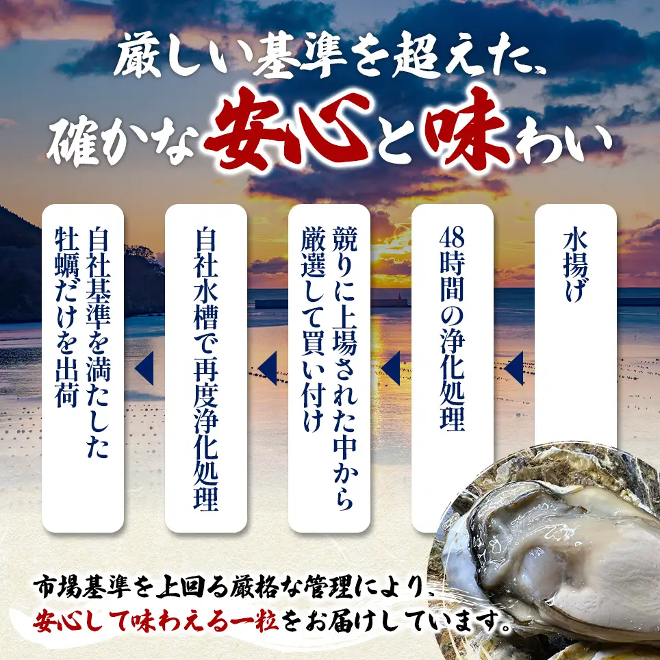 殻付き 牡蠣 LLサイズ 20個 【光輝】マルえもん 生食用 牡蠣