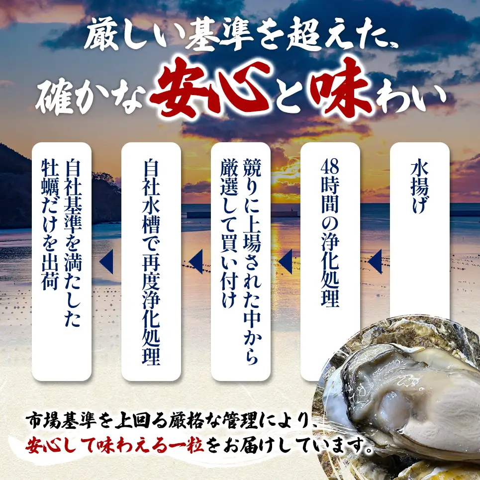 北海道 厚岸産 ブランド牡蠣 マルえもん 殻付き 牡蠣 3Lサイズ 40個 【光輝】 [ 魚貝類 生牡蠣 海鮮 海の幸 生食用牡蠣 生食用 生食用殻付き牡蠣 濃厚 甘み  オイスター ]  