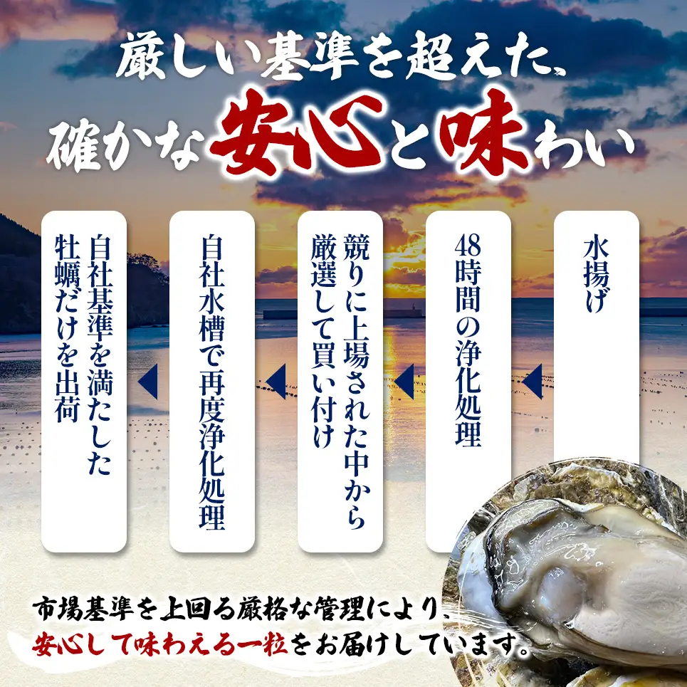 北海道 厚岸産 ブランド牡蠣 マルえもん 殻付き 牡蠣 LLサイズ 40個 【光輝】 [ 魚貝類 生牡蠣 海鮮 海の幸 生食用牡蠣 生食用 生食用殻付き牡蠣 濃厚 甘み  オイスター ]  