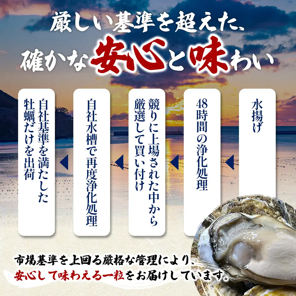 北海道 厚岸産 ブランド牡蠣 マルえもん 殻付き 牡蠣 Lサイズ 40個 【光輝】 [ 魚貝類 生牡蠣 海鮮 海の幸 生食用牡蠣 生食用 生食用殻付き牡蠣 濃厚 甘み  オイスター ]  
