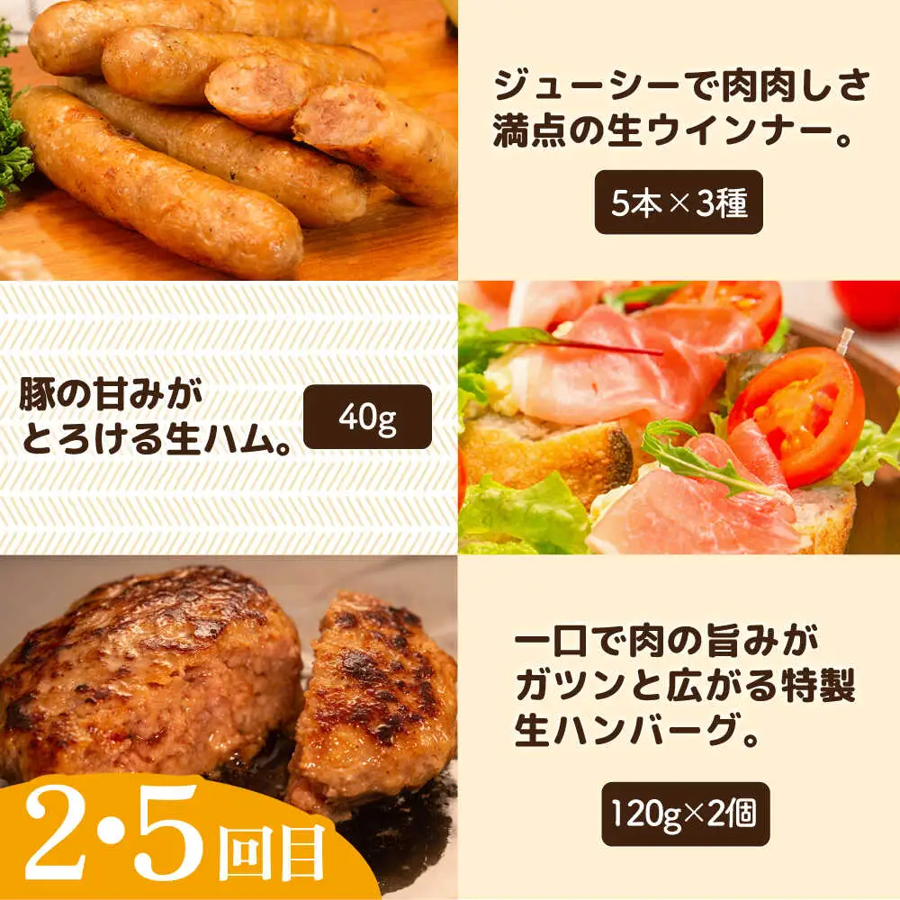 【全6回定期便】 ウインナー / ハンバーグ / ハム 月替り セット 糸島市 / 志摩スモークハウス 生ハム ベーコン [AOA039]