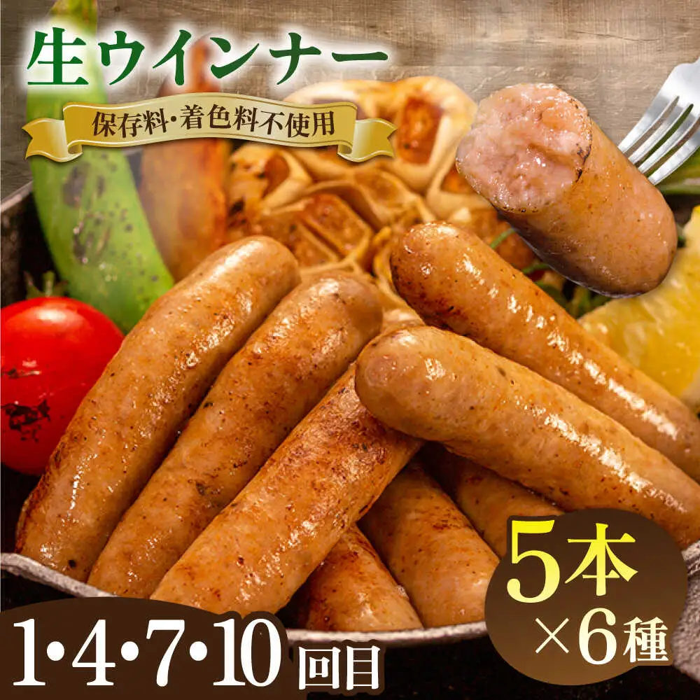 【全12回定期便】 ウインナー / ハンバーグ / ハム 月替り セット 糸島市 / 志摩スモークハウス 生ハム ベーコン [AOA040]