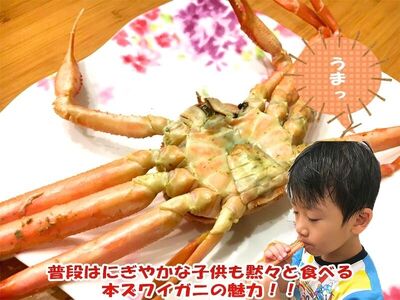 【11月～2月発送】【訳あり】本ズワイガニ　約2kg（2～6尾入）新潟県村上市寝屋漁港産 1079001