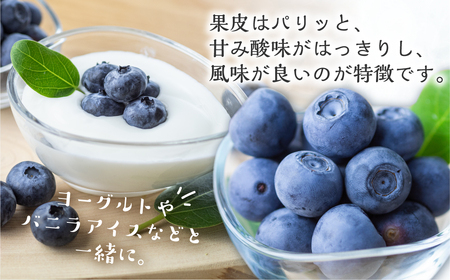 【定期便】完熟ブルーベリー 1kg　2回定期便