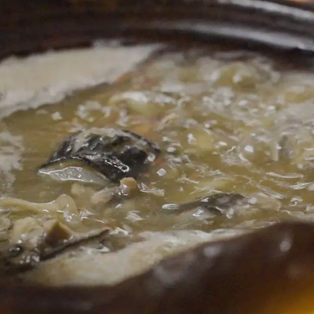 ペア食事券 京都 大市 すっぽん料理 お食事 
