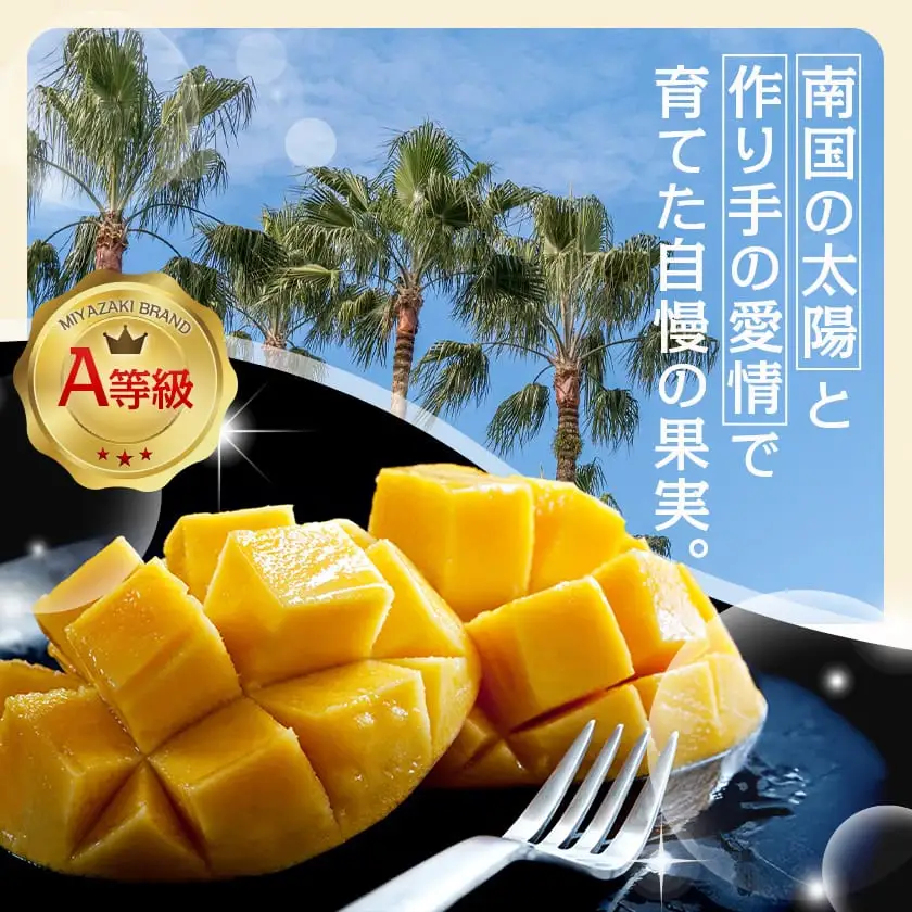 【先行受付!】宮崎完熟マンゴー1玉(都城産)≪2027年6月～7月頃順次お届け≫〔MJ-3301〕