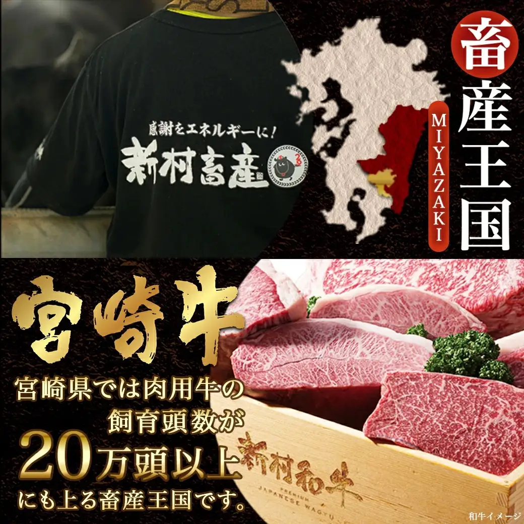 宮崎牛スジ肉2kg〔18-4202〕_(都城市) 国産黒毛和牛 牛すじ肉 (500g×4パック 合計2キロ) 40度の急速冷凍で新鮮なままお届け 煮込み料理やカレーにも 宮崎県産