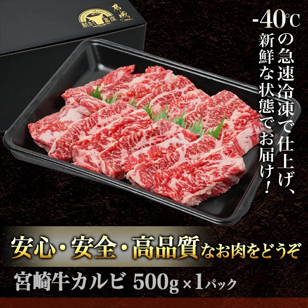 宮崎牛カルビ 500g〔18-4205〕_(都城市) 宮崎牛 牛肉 カルビ 500g 焼肉 BBQ バーベキュー ギフト 贈答用