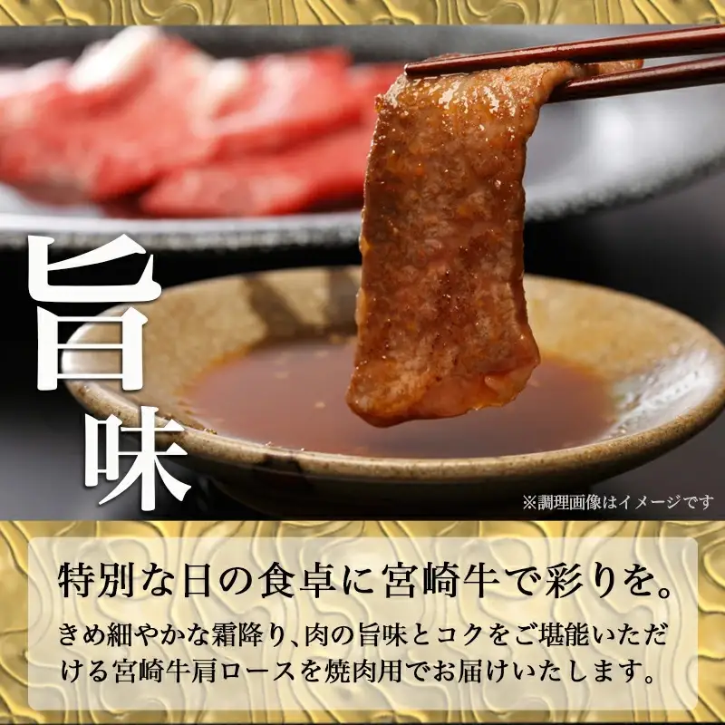 宮崎牛肩ロース焼肉500g〔17-6504〕_(都城市) 牛肉 牛肩ロース焼肉用 (250g×2パック) 計500グラム 粗挽き塩コショウ (2袋) ギフト 贈答用