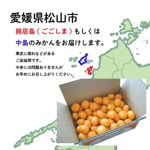 【2026年11月中旬から順次発送】甘こく愛媛みかん 瀬戸内の太陽と潮風で育ったご家庭用 5kg | 蜜柑 みかん 愛媛 松山 フルーツ 果物 くだもの 数量限定 期間限定 送料無料 おすすめ人気【SHM0091】