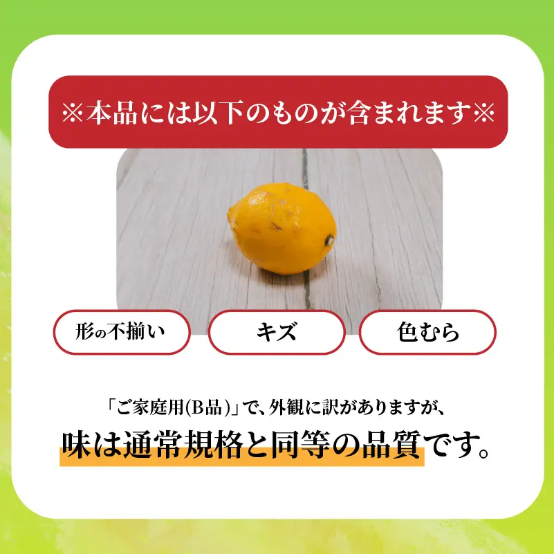 【レモン】 【2027年2月上旬から発送】 家庭用 イエローレモン 約2.5kg 【RNK0112_y】