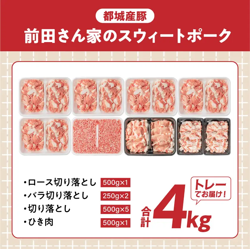 豚肉 切り落とし 4kgセット 小分け 豚肉 〔19-89-002-4kg-CF〕