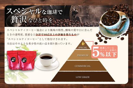 【スペシャリティ珈琲豆】グァテマラ+マンデリン