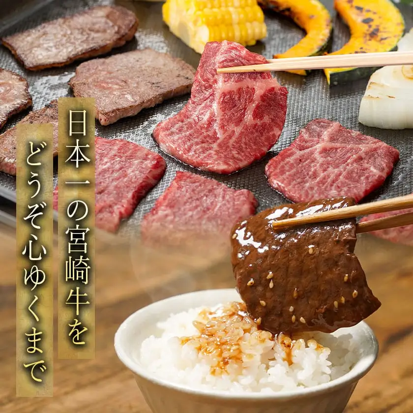 宮崎牛モモ焼肉(A5)〔MJ-A002〕_(都城市) 牛肉 都城産宮崎牛(A5ランク) モモ焼肉 500g 最高等級の5等級 国産黒毛和牛 霜降り牛肉 焼き肉/バーベキュー/鉄板焼き ギフト 贈答用