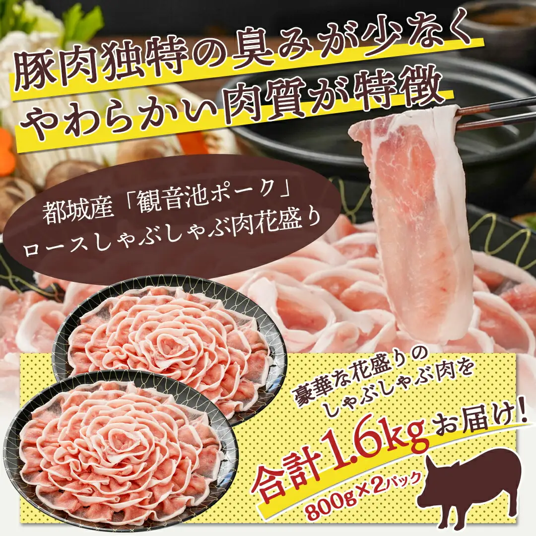 観音池ポーク ロースしゃぶしゃぶ〈皿盛〉1.6kg〔MJ-1564〕_(都城市) 都城産ブランド豚 ロースしゃぶしゃぶ 花盛り パーティー 観音池ポーク ブランド豚