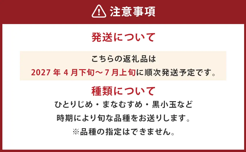 ＜ R8年熊本地震復興支援 ＞小玉西瓜 2玉入 1玉あたり1.5kg以上 すいか スイカ【2027年4月下旬～7月上旬迄順次発送予定】